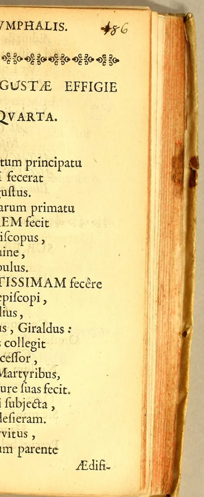 An illustration from Porticus triumphalis, : a regali palatio, quà Meridiem spectat, in Tagum exporrecta, ad publicam receptionem augustissimae Mariae, Sophiae, Elisabethae, Portugalliae Reginae, Ulyssiponem ingredientis, anno domini M. DC. LXXXVII. die II. augusti, pictis, inscriptisque tabulis, jussu regis, ornata, 1694, leaf 19
