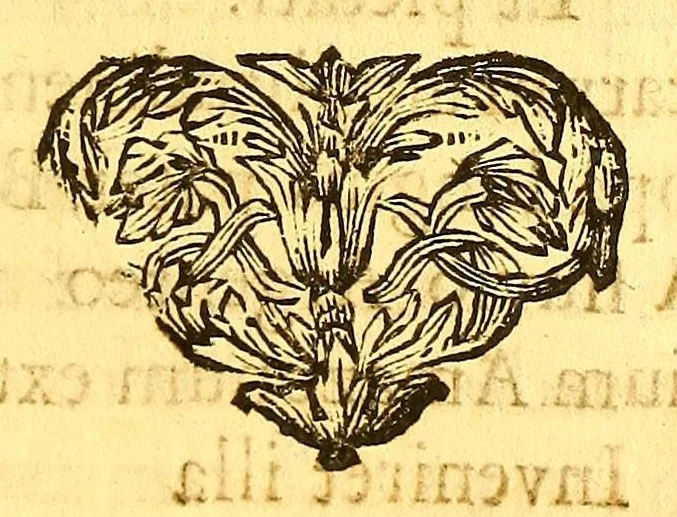 An illustration from Porticus triumphalis, : a regali palatio, quà Meridiem spectat, in Tagum exporrecta, ad publicam receptionem augustissimae Mariae, Sophiae, Elisabethae, Portugalliae Reginae, Ulyssiponem ingredientis, anno domini M. DC. LXXXVII. die II. augusti, pictis, inscriptisque tabulis, jussu regis, ornata, 1694, leaf 55