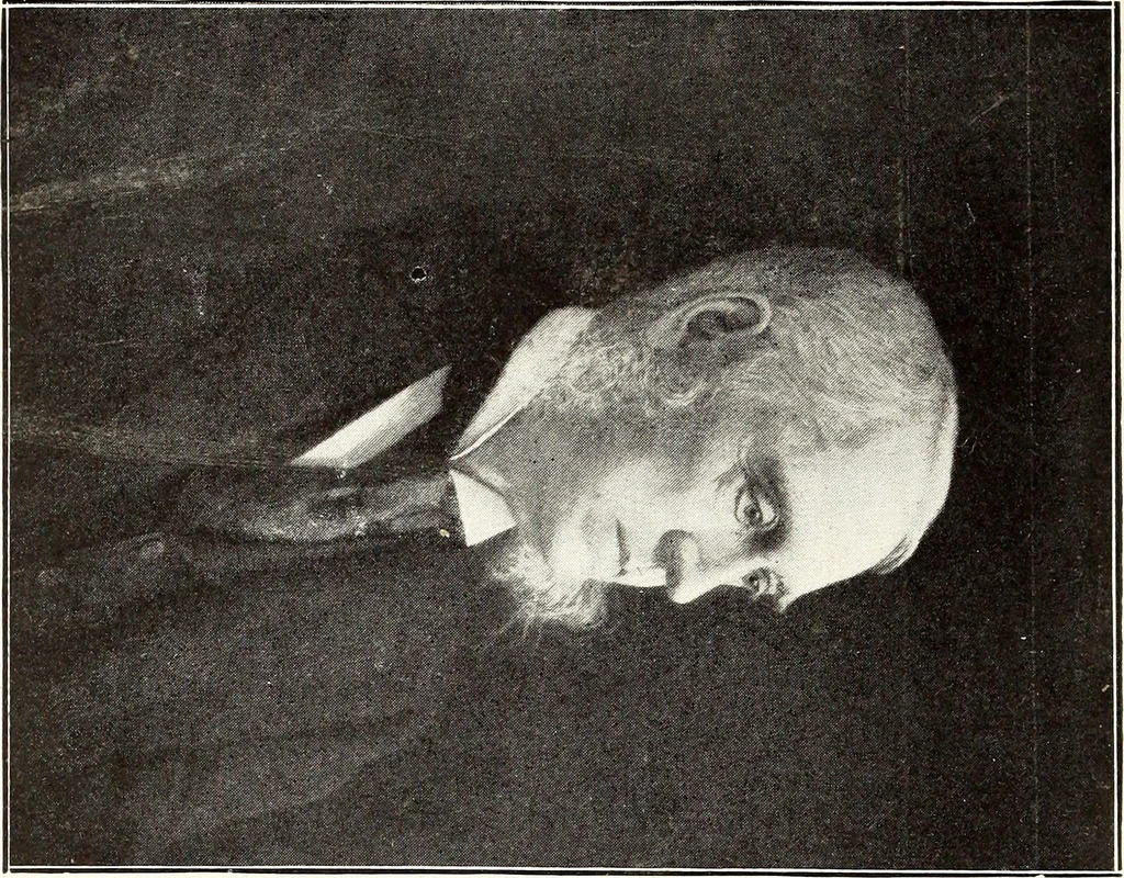 An illustration from Portraits in fine art, 1901, leaf 17