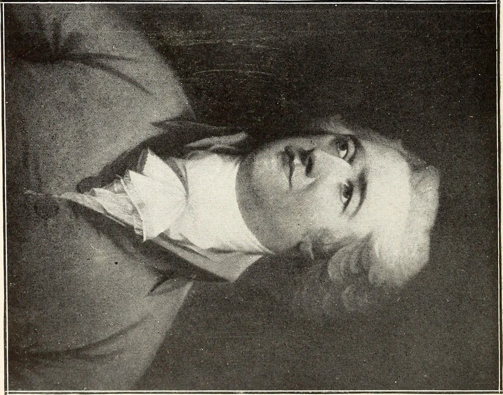 An illustration from Portraits in fine art, 1901, leaf 25