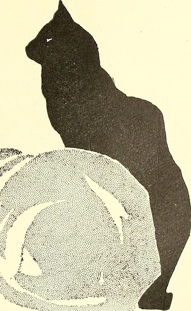 An illustration from Posters; a critical study of the development of poster design in continental Europe, England and America, 1913, leaf 10
