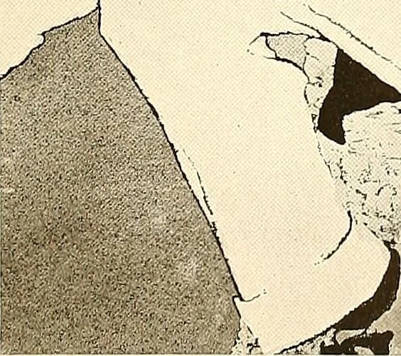 An illustration from Posters; a critical study of the development of poster design in continental Europe, England and America, 1913, leaf 228