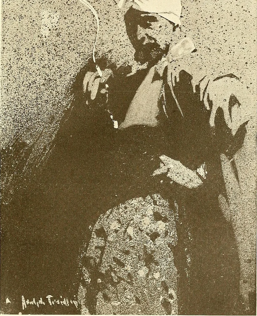 An illustration from Posters; a critical study of the development of poster design in continental Europe, England and America, 1913, leaf 242