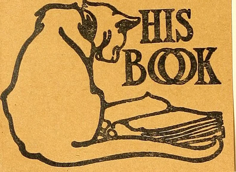 An illustration from Posters; a critical study of the development of poster design in continental Europe, England and America, 1913, leaf 251