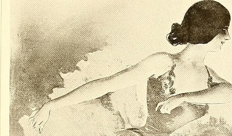 An illustration from Posters; a critical study of the development of poster design in continental Europe, England and America, 1913, leaf 98