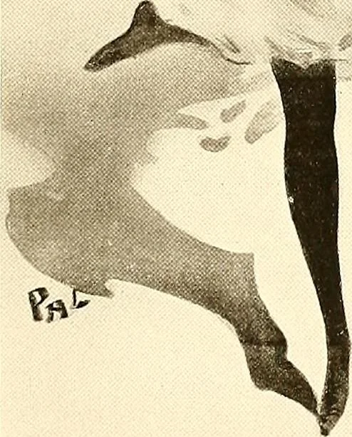 An illustration from Posters; a critical study of the development of poster design in continental Europe, England and America, 1913, leaf 98