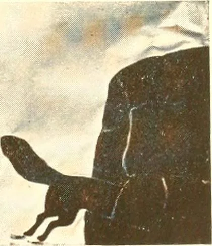 An illustration from Poster work in kindergarten and primary grades, 1914, leaf 16