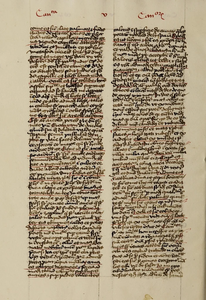 An illustration from [Postilla super totam bibliam : Parabolas, Ecclesiastes, Cantica canticorum. Prophetae minores], leaf 108