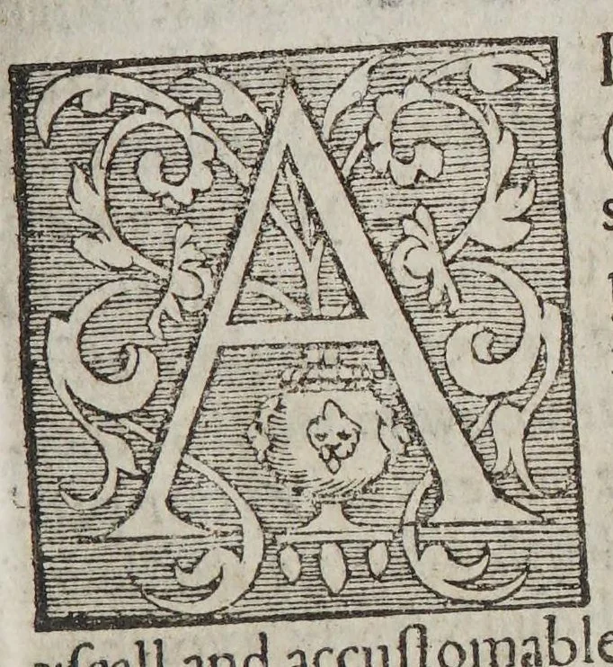 An illustration from The post of the world. : VVherin is contayned the antiquities and originall of the most famous cities in Europe. With their trade and traficke. With their wayes and distance of myles, from country to country. With the true and perfect knowledge of their coynes, the places of their mynts: with al their martes and fayres. And the raignes of all the kinges of England. : A booke right necessary and profitable for all sortes of persons, the like before this tyme not imprinted, 1576, leaf 27