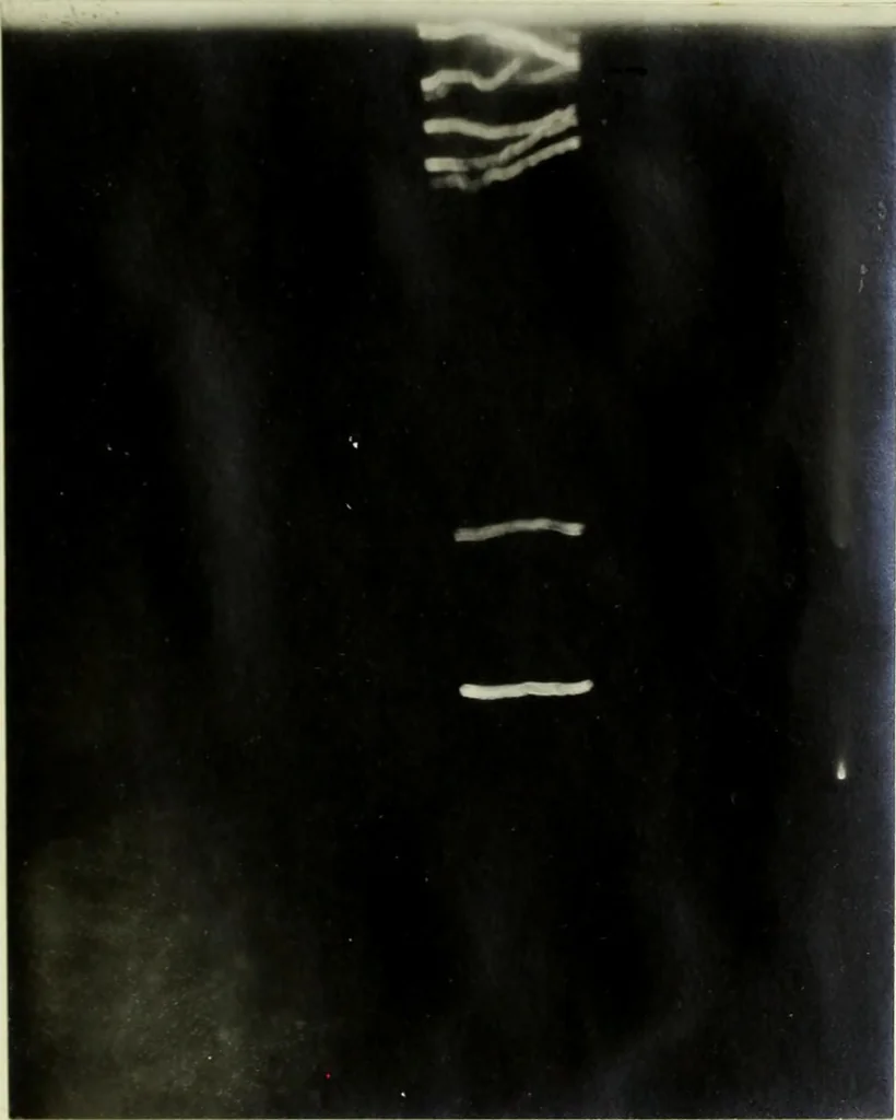 An illustration from Potential stresses in dielectrics, 1912, leaf 94
