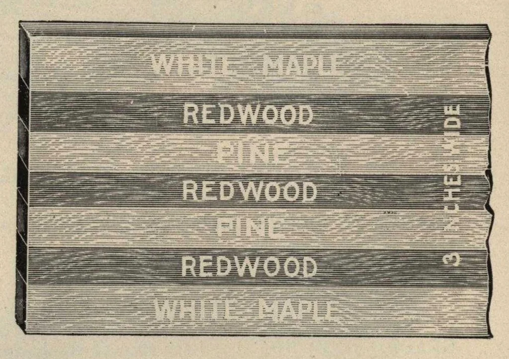 An illustration from Catalogue, 1907, leaf 11