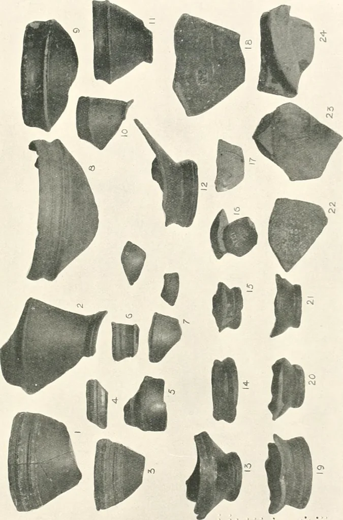 An illustration from The pottery found at Silchester : a descriptive account of the pottery recovered during the excavations on the site of the Romano-British city of Calleva Atrebatum at Silchester, Hants., and deposited in the Reading Museum, 1916, leaf 348