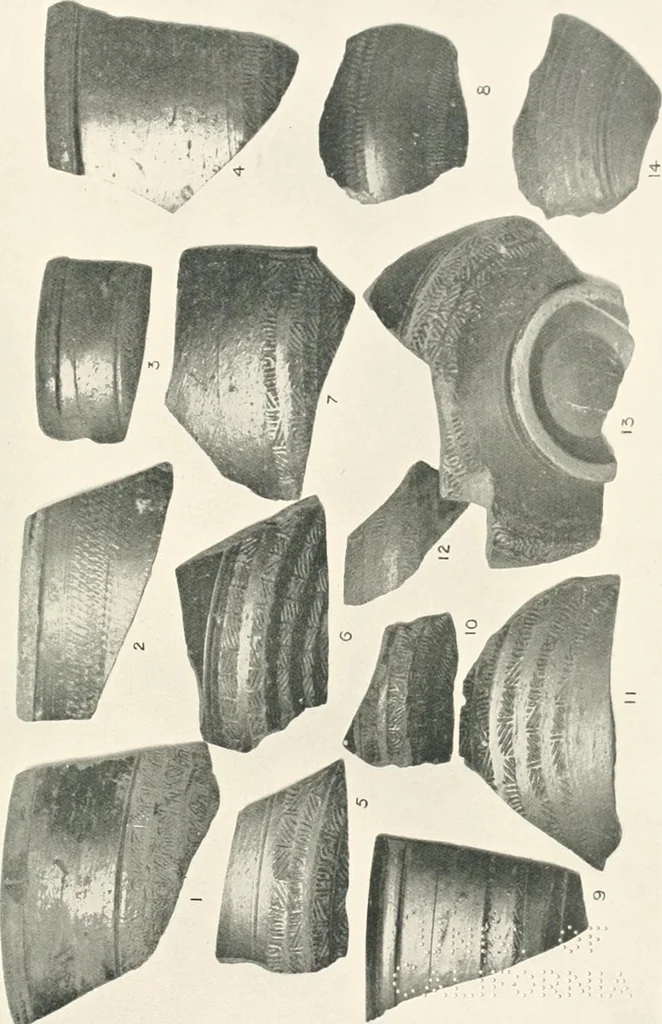 An illustration from The pottery found at Silchester : a descriptive account of the pottery recovered during the excavations on the site of the Romano-British city of Calleva Atrebatum at Silchester, Hants., and deposited in the Reading Museum, 1916, leaf 418
