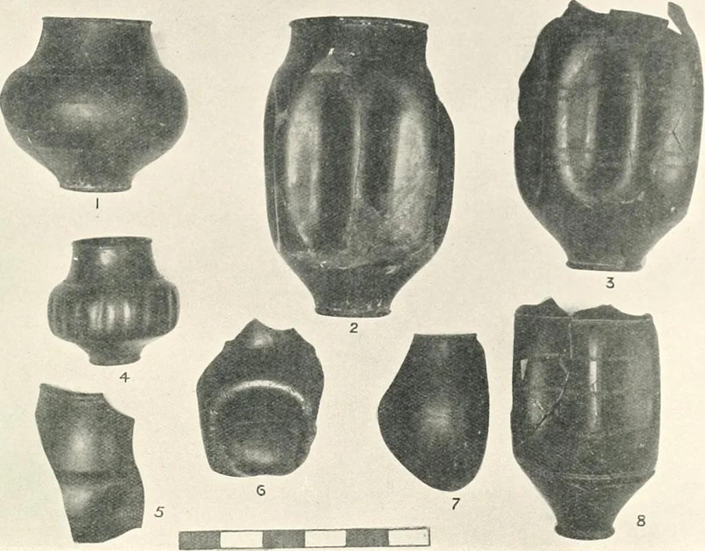 An illustration from The pottery found at Silchester : a descriptive account of the pottery recovered during the excavations on the site of the Romano-British city of Calleva Atrebatum at Silchester, Hants., and deposited in the Reading Museum, 1916, leaf 428