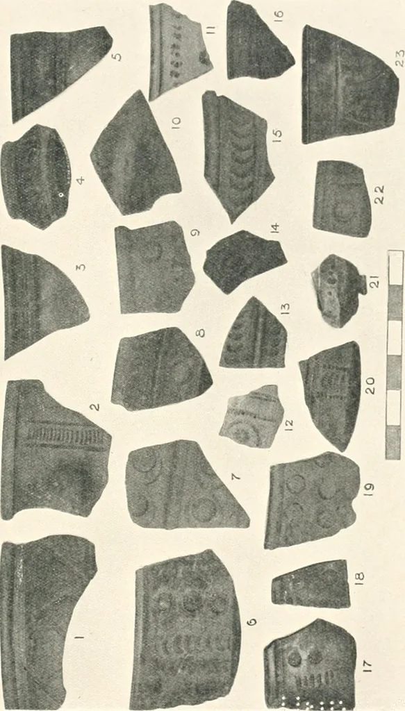 An illustration from The pottery found at Silchester : a descriptive account of the pottery recovered during the excavations on the site of the Romano-British city of Calleva Atrebatum at Silchester, Hants., and deposited in the Reading Museum, 1916, leaf 454