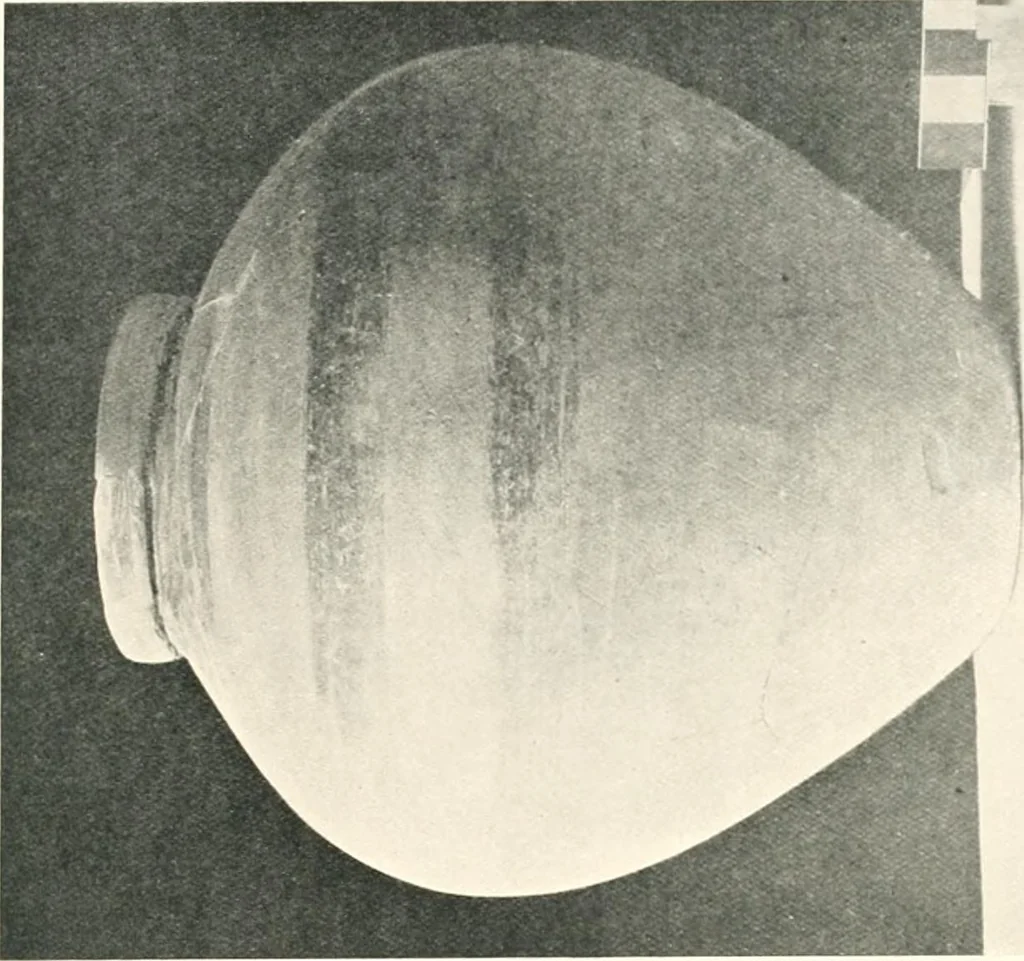 An illustration from The pottery found at Silchester : a descriptive account of the pottery recovered during the excavations on the site of the Romano-British city of Calleva Atrebatum at Silchester, Hants., and deposited in the Reading Museum, 1916, leaf 478