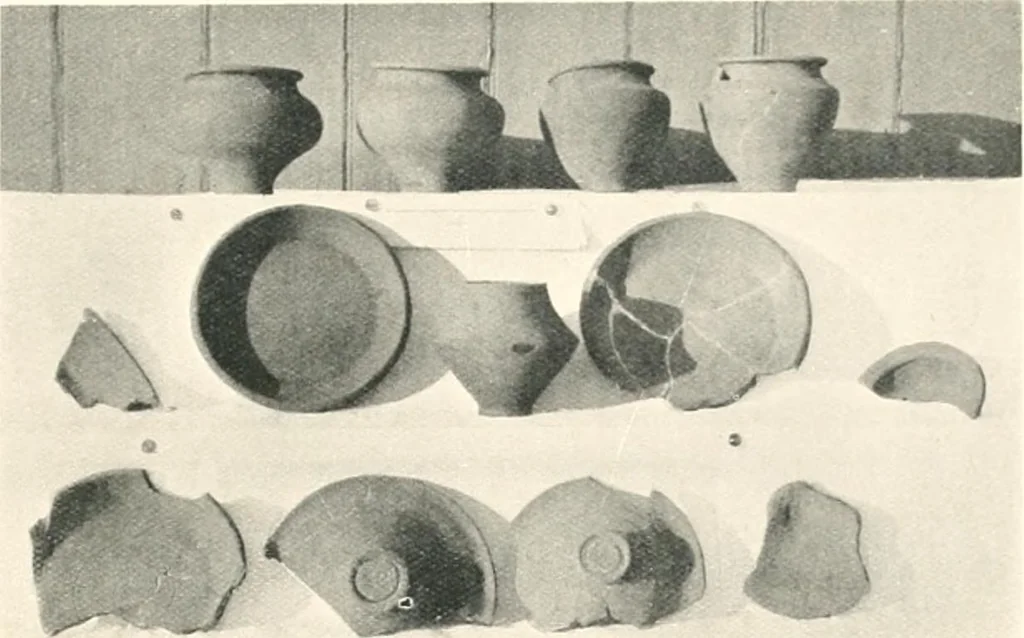 An illustration from The pottery found at Silchester : a descriptive account of the pottery recovered during the excavations on the site of the Romano-British city of Calleva Atrebatum at Silchester, Hants., and deposited in the Reading Museum, 1916, leaf 500