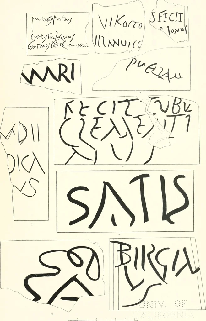 An illustration from The pottery found at Silchester : a descriptive account of the pottery recovered during the excavations on the site of the Romano-British city of Calleva Atrebatum at Silchester, Hants., and deposited in the Reading Museum, 1916, leaf 512