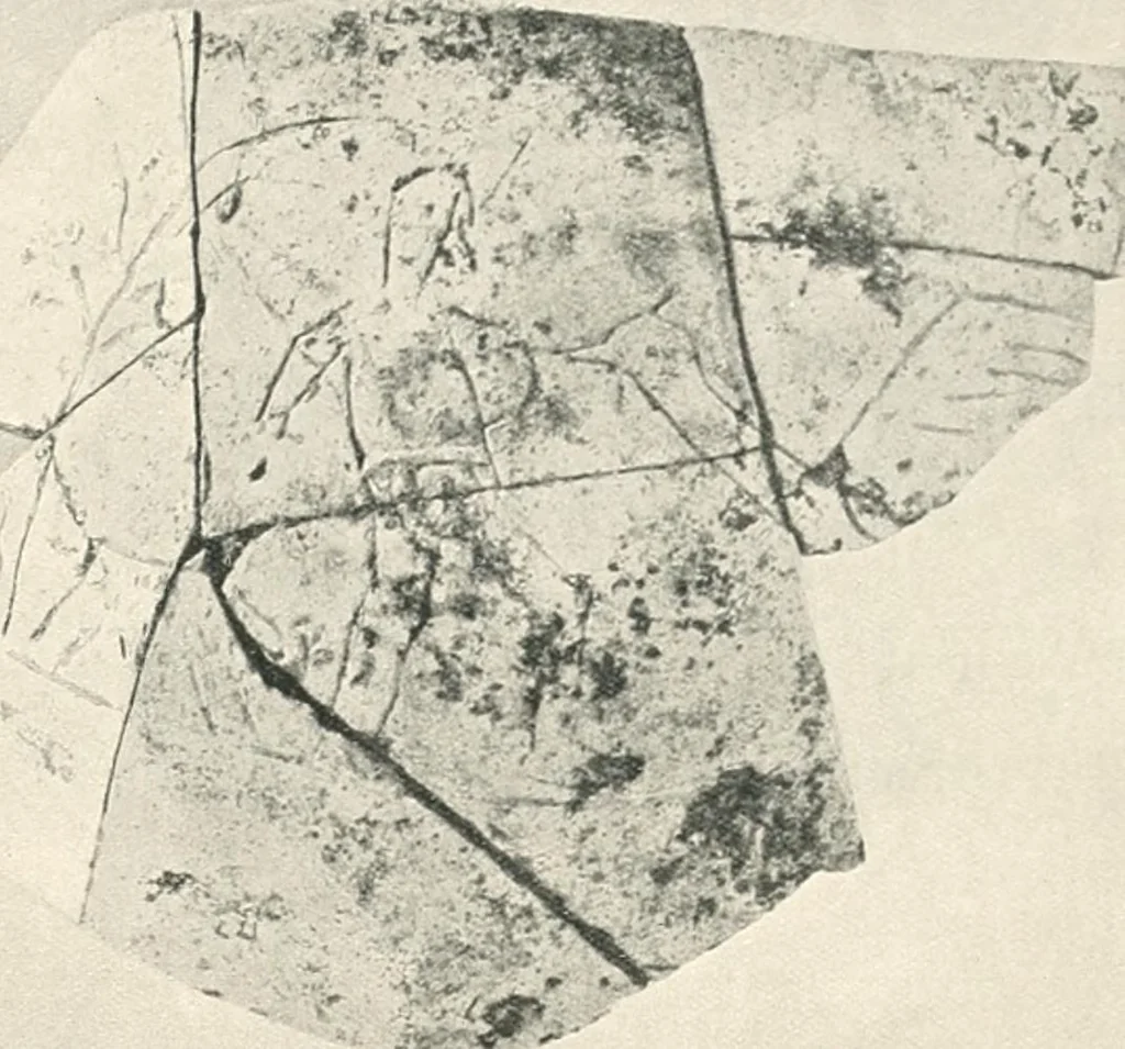 An illustration from The pottery found at Silchester : a descriptive account of the pottery recovered during the excavations on the site of the Romano-British city of Calleva Atrebatum at Silchester, Hants., and deposited in the Reading Museum, 1916, leaf 514