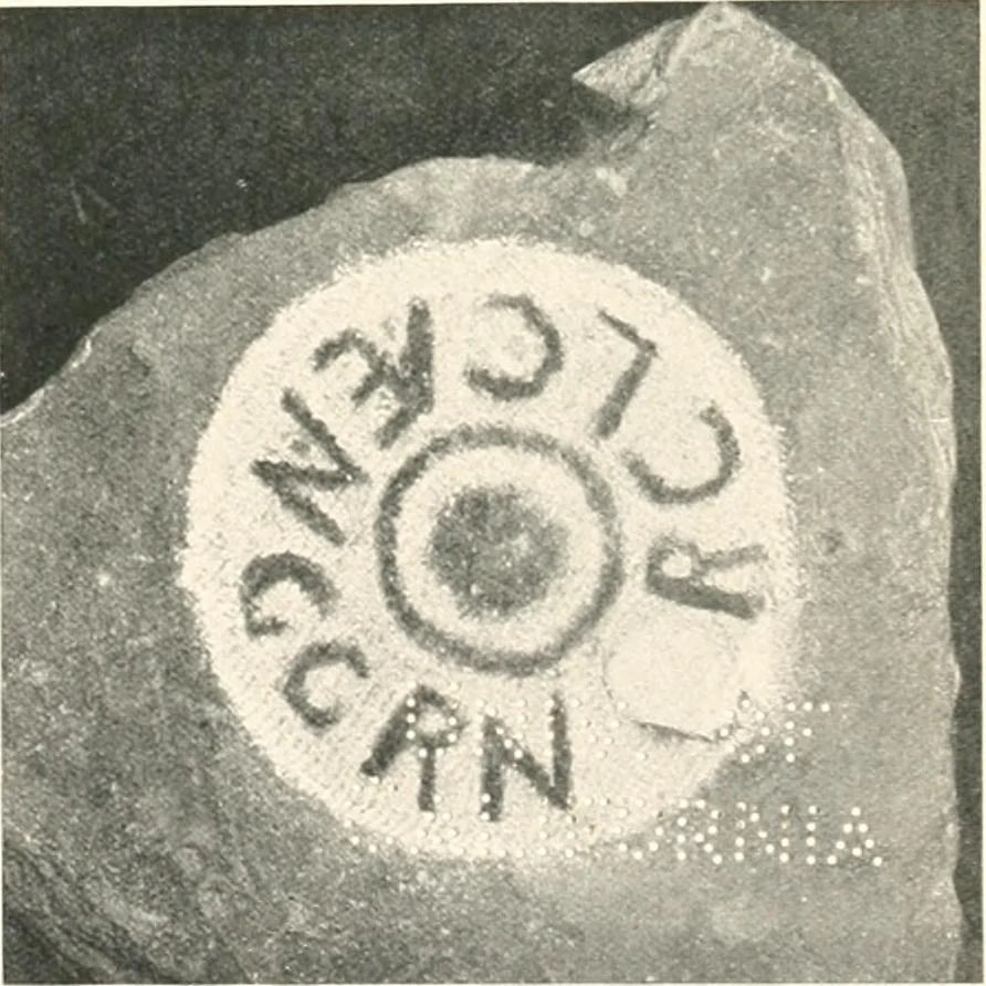 An illustration from The pottery found at Silchester : a descriptive account of the pottery recovered during the excavations on the site of the Romano-British city of Calleva Atrebatum at Silchester, Hants., and deposited in the Reading Museum, 1916, leaf 514