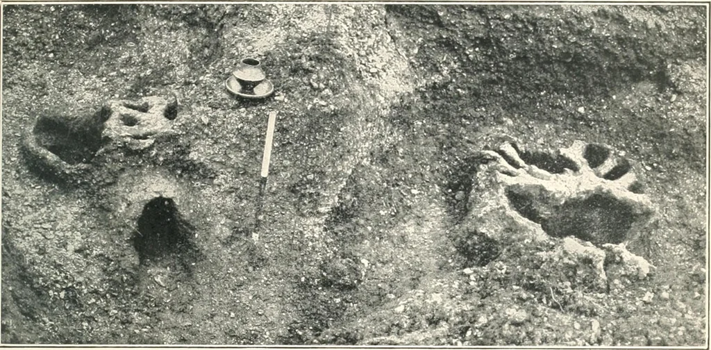 An illustration from The pottery found at Silchester : a descriptive account of the pottery recovered during the excavations on the site of the Romano-British city of Calleva Atrebatum at Silchester, Hants., and deposited in the Reading Museum, 1916, leaf 516