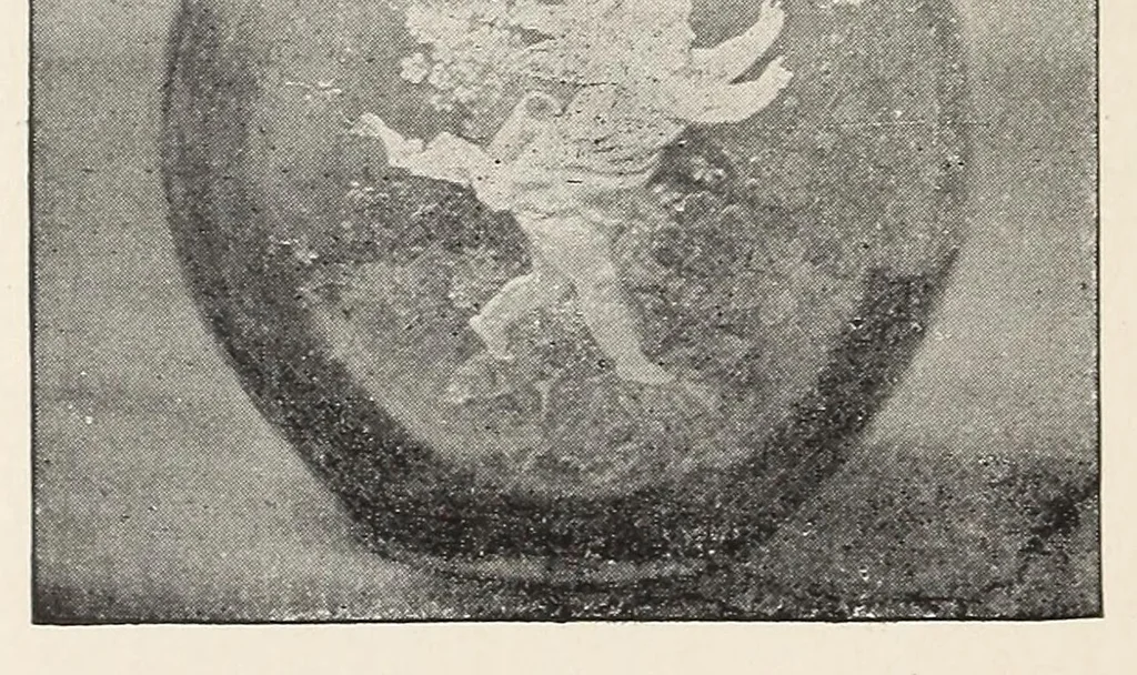 An illustration from The pottery and porcelain of the United States; an historical review of American ceramic art from the earliest times to the present day, 1893, leaf 232
