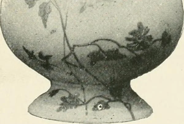 An illustration from The pottery and porcelain of the United States; an historical review of American ceramic art from the earliest times to the present day, 1893, leaf 252