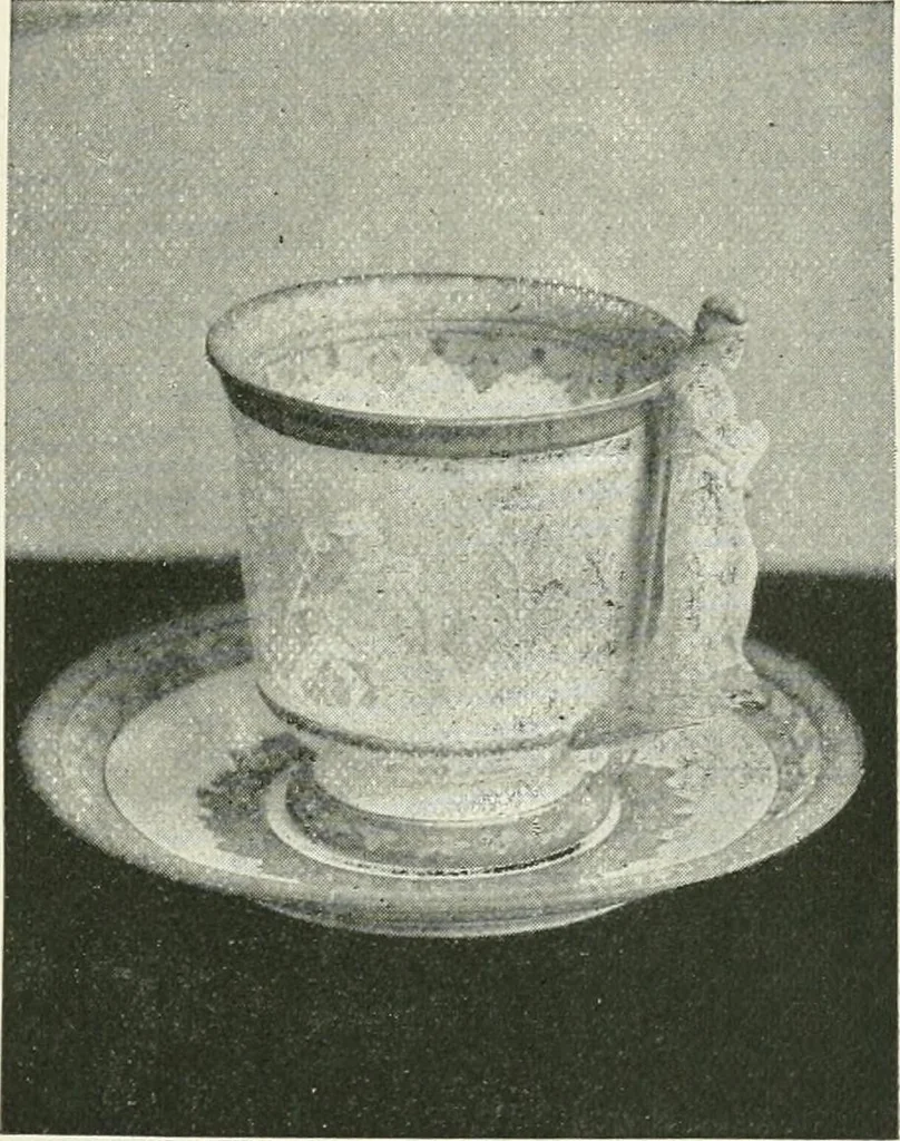 An illustration from The pottery and porcelain of the United States; an historical review of American ceramic art from the earliest times to the present day, 1893, leaf 280