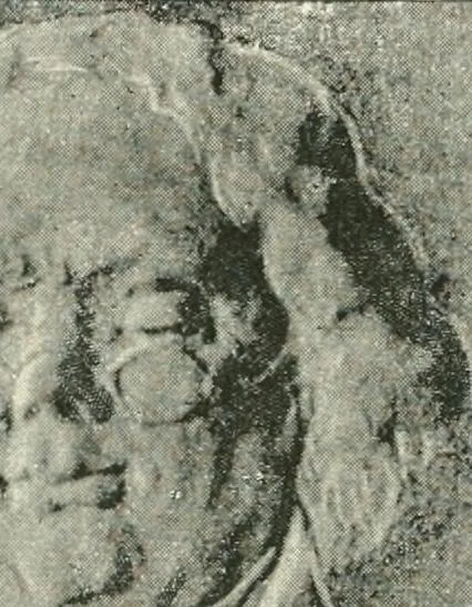An illustration from The pottery and porcelain of the United States; an historical review of American ceramic art from the earliest times to the present day, 1893, leaf 373