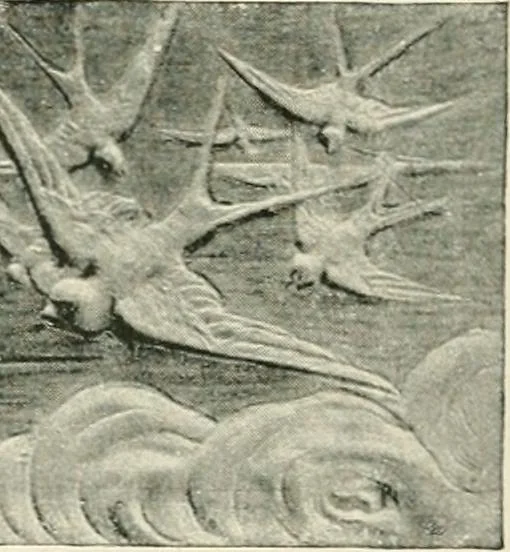 An illustration from The pottery and porcelain of the United States; an historical review of American ceramic art from the earliest times to the present day, 1893, leaf 381