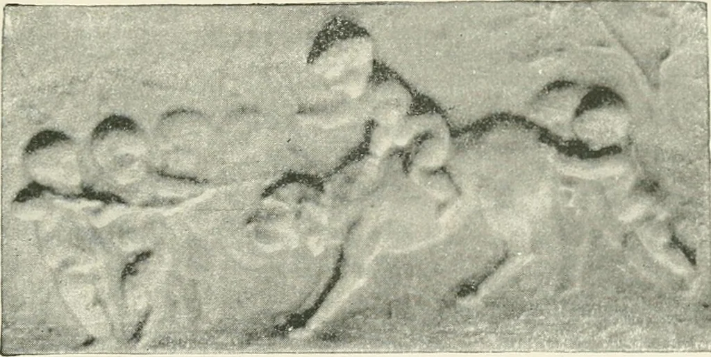An illustration from The pottery and porcelain of the United States; an historical review of American ceramic art from the earliest times to the present day, 1893, leaf 406