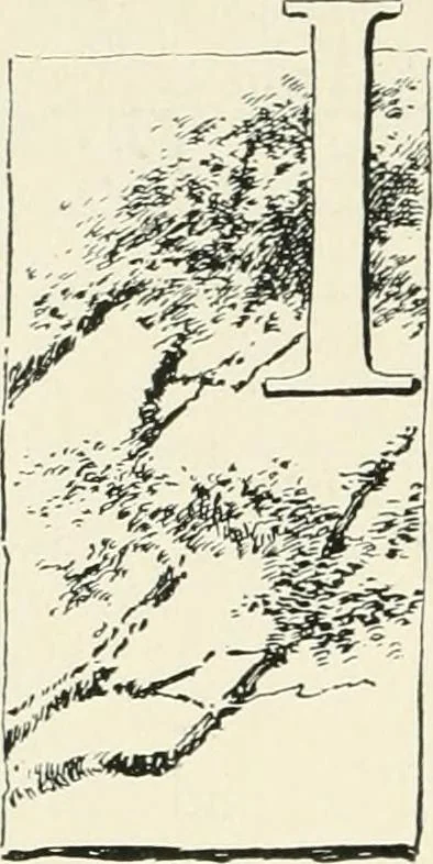 An illustration from The pottery and porcelain of the United States; an historical review of American ceramic art from the earliest times to the present day, 1893, leaf 473