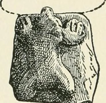 An illustration from The pottery and porcelain of the United States; an historical review of American ceramic art from the earliest times to the present day, 1893, leaf 67