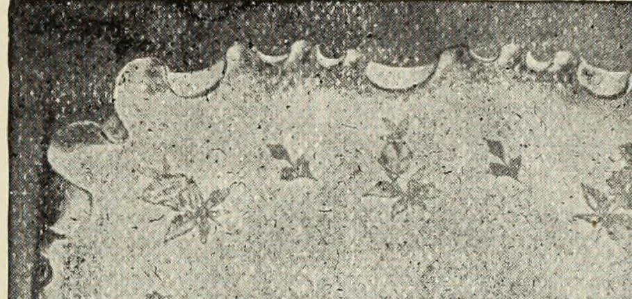 An illustration from Pottery and porcelain of the United States : an historical review of American ceramic art from the earliest times to the present day, 1893, leaf 258