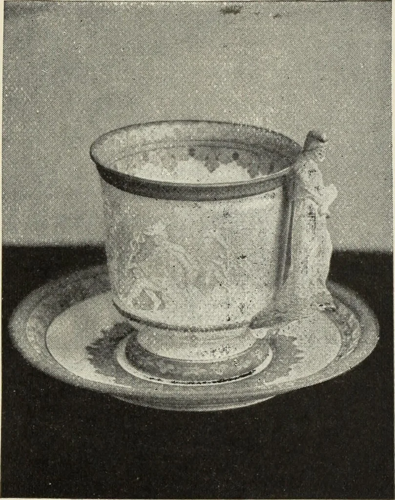 An illustration from Pottery and porcelain of the United States : an historical review of American ceramic art from the earliest times to the present day, 1893, leaf 278
