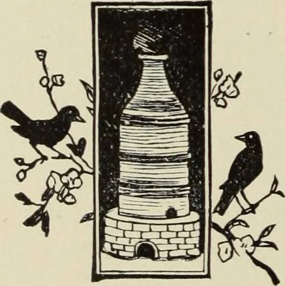 An illustration from Pottery and porcelain of the United States : an historical review of American ceramic art from the earliest times to the present day, 1893, leaf 431