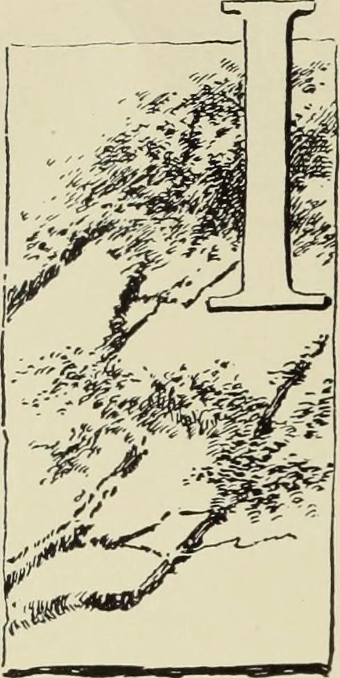 An illustration from Pottery and porcelain of the United States : an historical review of American ceramic art from the earliest times to the present day, 1893, leaf 471