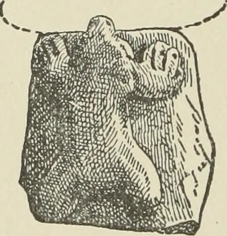 An illustration from Pottery and porcelain of the United States : an historical review of American ceramic art from the earliest times to the present day, 1893, leaf 65