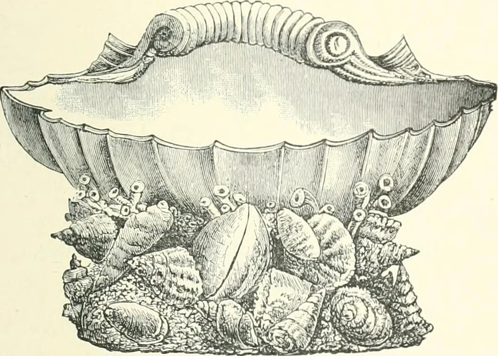 An illustration from Pottery & porcelain, a guide to collectors; containing nearly two hundred illustrations of specimens of various factories, nine coloured plates, and marks and monograms of all the important makers, 1912, leaf 412