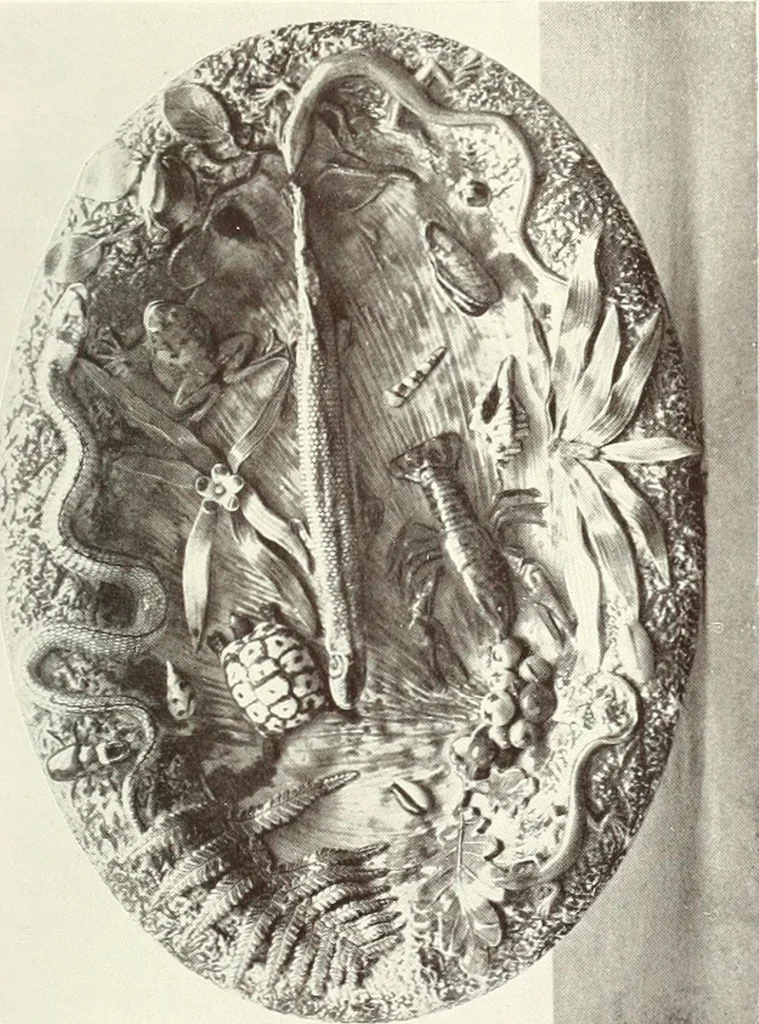 An illustration from Pottery & porcelain, a guide to collectors; containing nearly two hundred illustrations of specimens of various factories, nine coloured plates, and marks and monograms of all the important makers, 1912, leaf 44