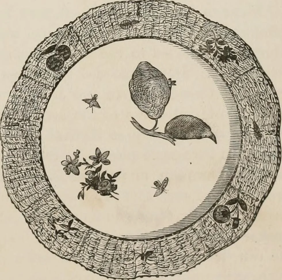 An illustration from Pottery and porcelain of all times and nations; with tables of factory and artists' marks for the use of collectors, 1878, leaf 298
