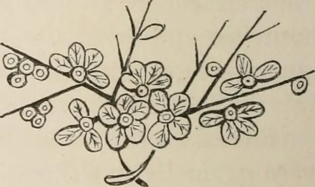 An illustration from Pottery and porcelain of all times and nations; with tables of factory and artists' marks for the use of collectors, 1878, leaf 379