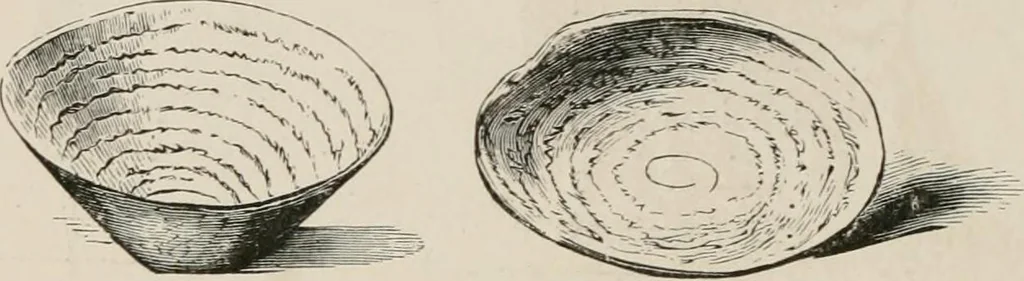 An illustration from Pottery and porcelain of all times and nations; with tables of factory and artists' marks for the use of collectors, 1878, leaf 59