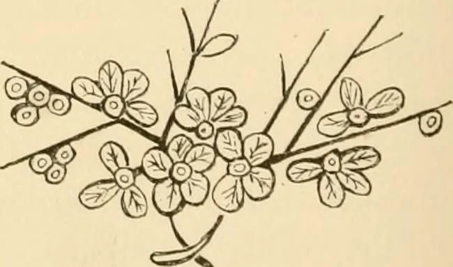 An illustration from Pottery and porcelain of all times and nations : with tables of factory and artists' marks for the use of collectors, 1878, leaf 379