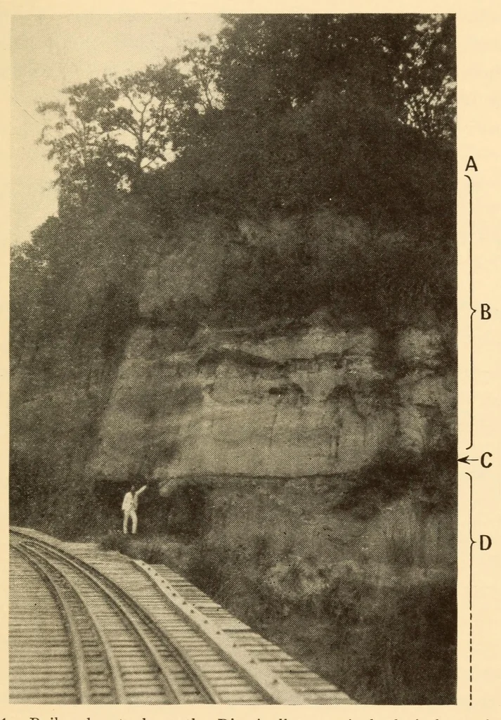 An illustration from Pottery types and their sequence in El Salvador, 1927, leaf 13