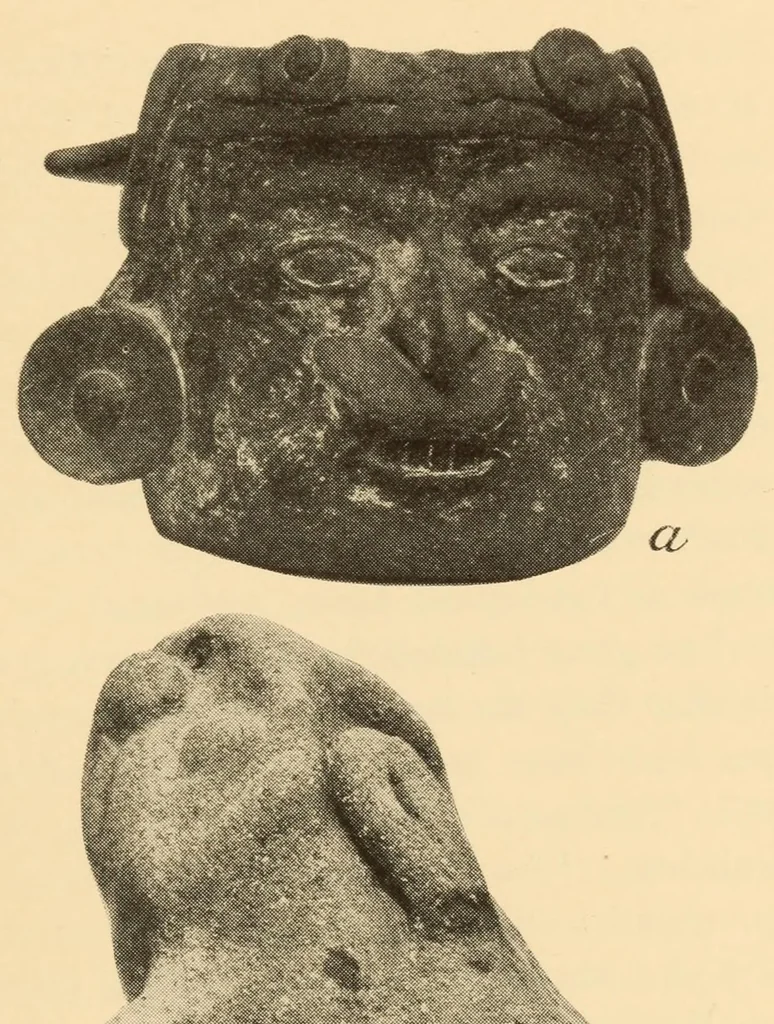 An illustration from Pottery types and their sequence in El Salvador, 1927, leaf 39