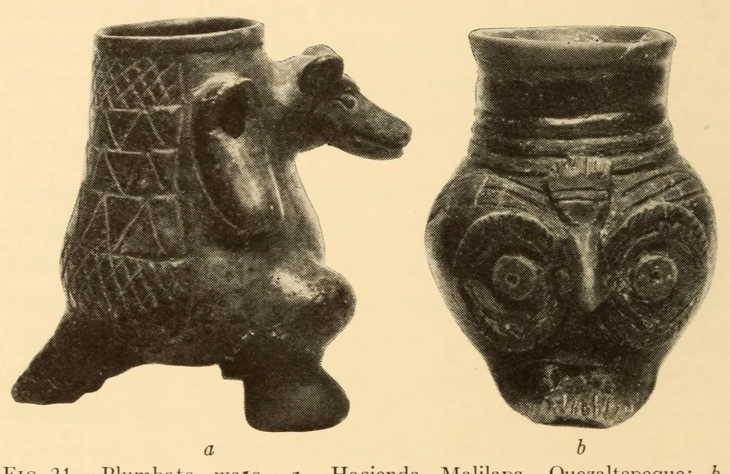 An illustration from Pottery types and their sequence in El Salvador, 1927, leaf 50