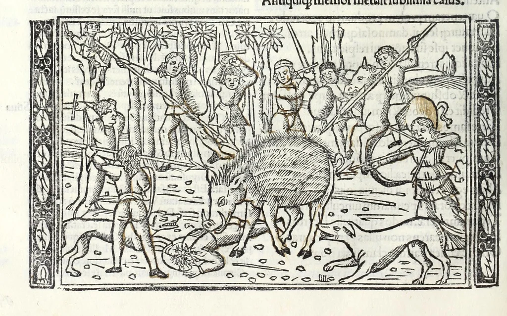 An illustration from P. Ouidii Metamorphosis : cum luculentissimis Raphaelis Regij enarrationibus : quibus cũ alia q̃da[m] ascripta sunt : q̃ in exemplarib[us] antea impressis nom inueniuntur : tum eorum apologia : q̃ fuerant a quibusdam reprehensa, 1517, leaf 186