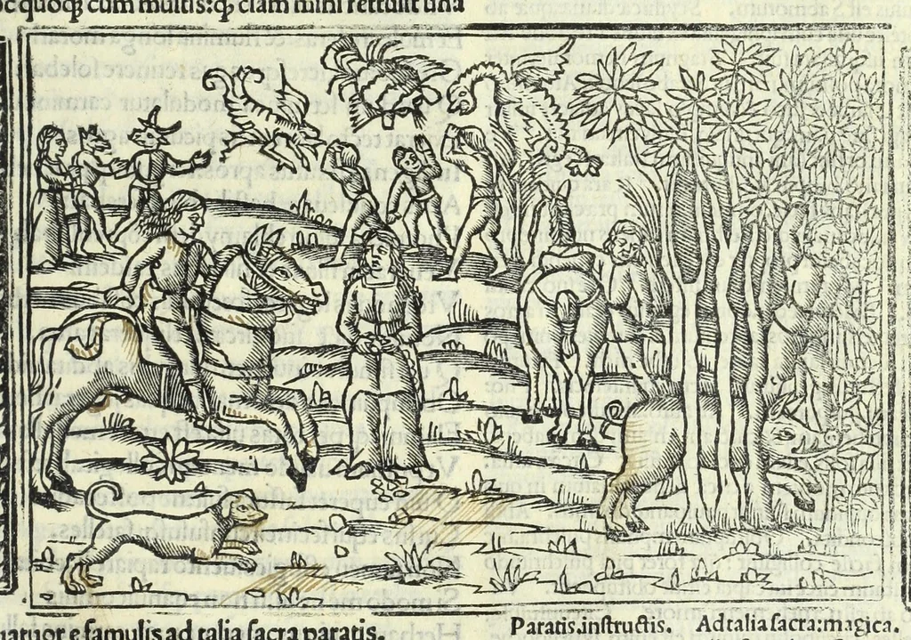 An illustration from P. Ouidii Metamorphosis : cum luculentissimis Raphaelis Regij enarrationibus : quibus cũ alia q̃da[m] ascripta sunt : q̃ in exemplarib[us] antea impressis nom inueniuntur : tum eorum apologia : q̃ fuerant a quibusdam reprehensa, 1517, leaf 311