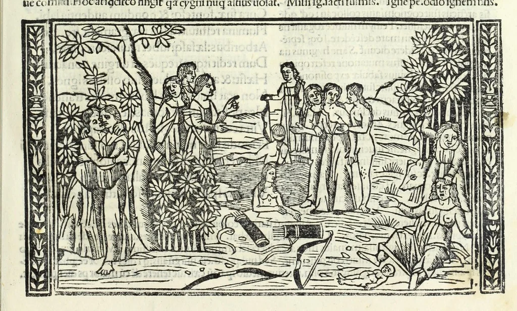 An illustration from P. Ouidii Metamorphosis : cum luculentissimis Raphaelis Regij enarrationibus : quibus cũ alia q̃da[m] ascripta sunt : q̃ in exemplarib[us] antea impressis nom inueniuntur : tum eorum apologia : q̃ fuerant a quibusdam reprehensa, 1517, leaf 61